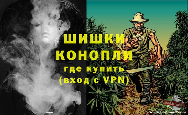 шишки Абинск