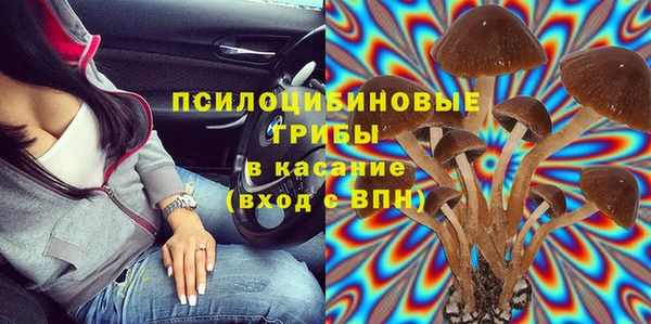 шишки Абинск